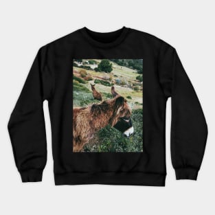 Wild Donkeys Duo Crewneck Sweatshirt